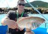 Hamilton Island coral trout